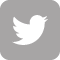 twitter-logo